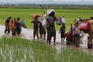 Bangladeş, binlerce Arakanlı Müslüman'ı adaya yerleştirecek