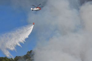 İzmir ve Manisa'daki yangınlar kontrol altına alındı