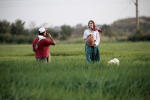 Çeltik tarlası fotoğrafçılara doğal stüdyo oldu