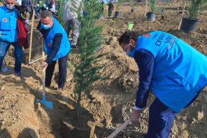 Mevlid-i Nebi Haftası münasebetiyle 50 bin fidan dikildi