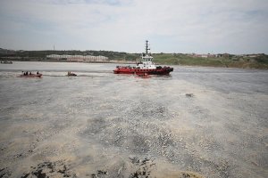 Marmara Denizi'nde deniz salyası temizleme seferberliği başladı