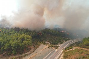 Türkiye'de 6 günde 144 yangın çıktı, 134'ü kontrol altına alındı