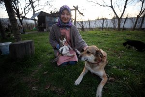 Evinin bahçesini yardıma muhtaç sokak hayvanlarına açtı