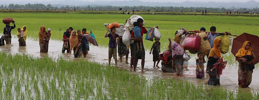 Bangladeş, binlerce Arakanlı Müslüman'ı adaya yerleştirecek